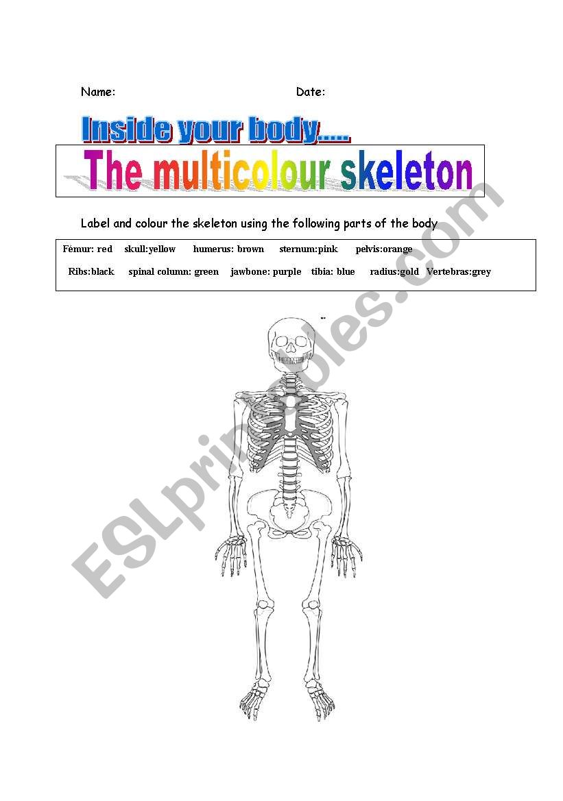 The multicolour skeleton worksheet
