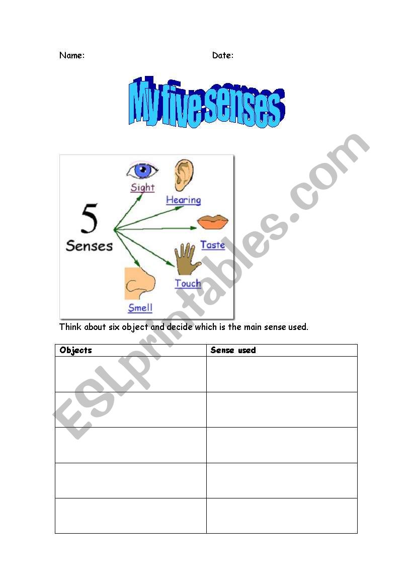 My five senses worksheet