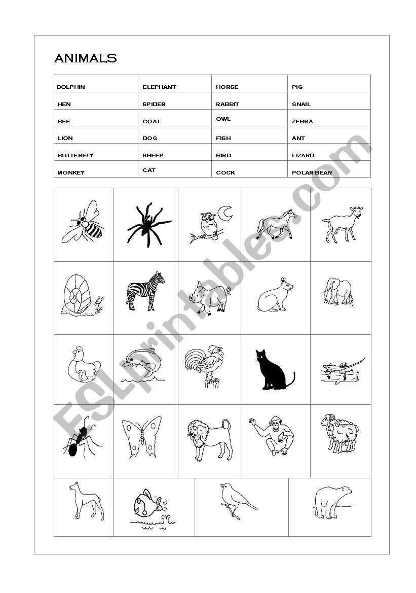 animals worksheet