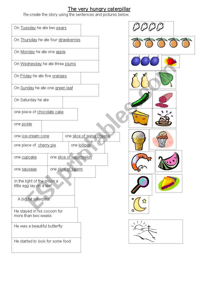 The very hungry caterpillar worksheet
