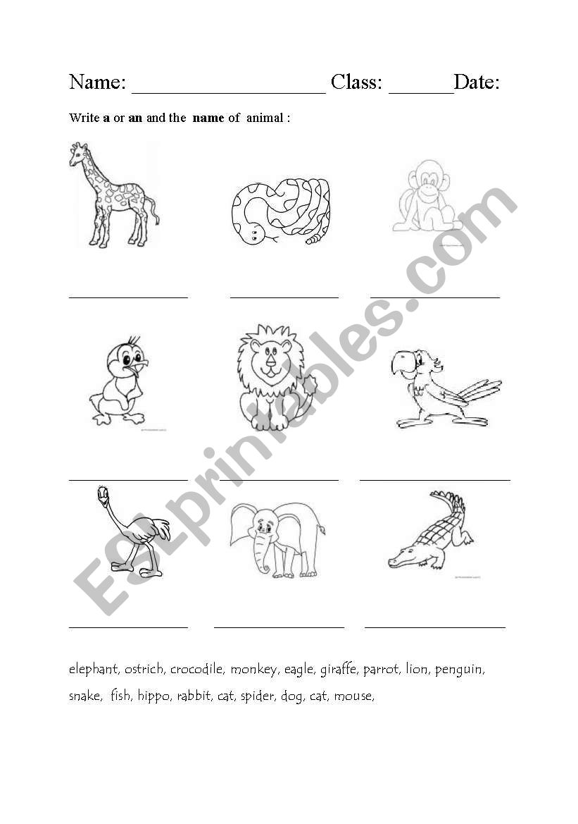 animals worksheet