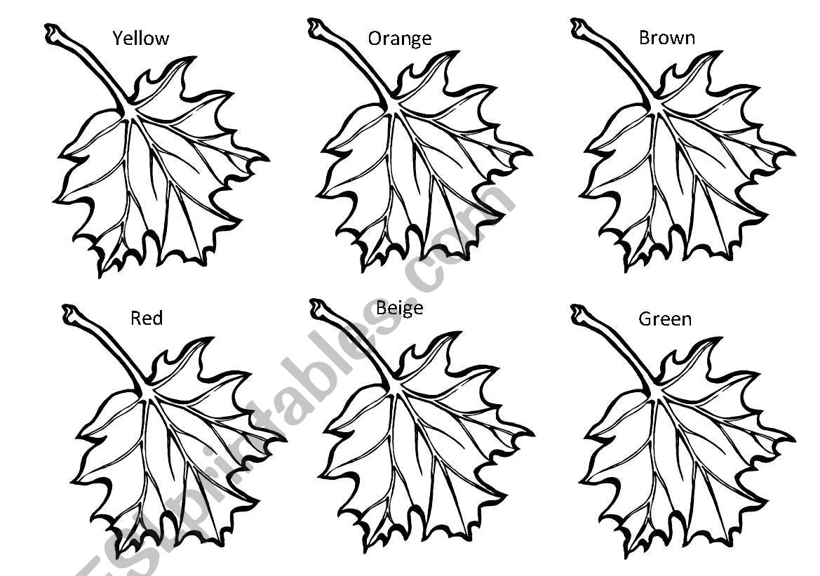 Autumn Colours worksheet