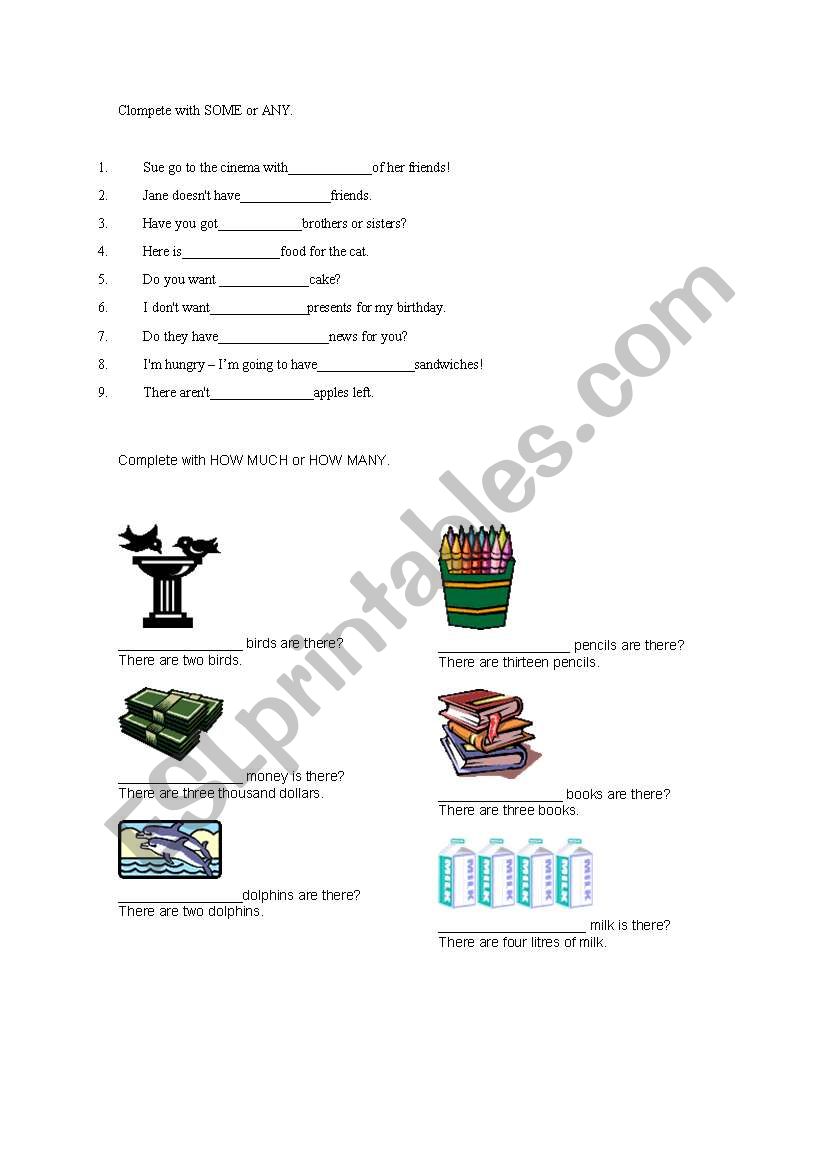 How much, how many, some, any worksheet