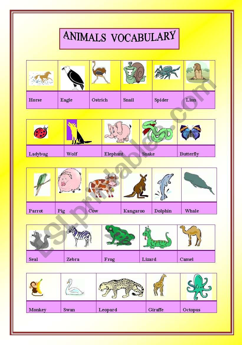 ANIMALS PICTIONARY worksheet