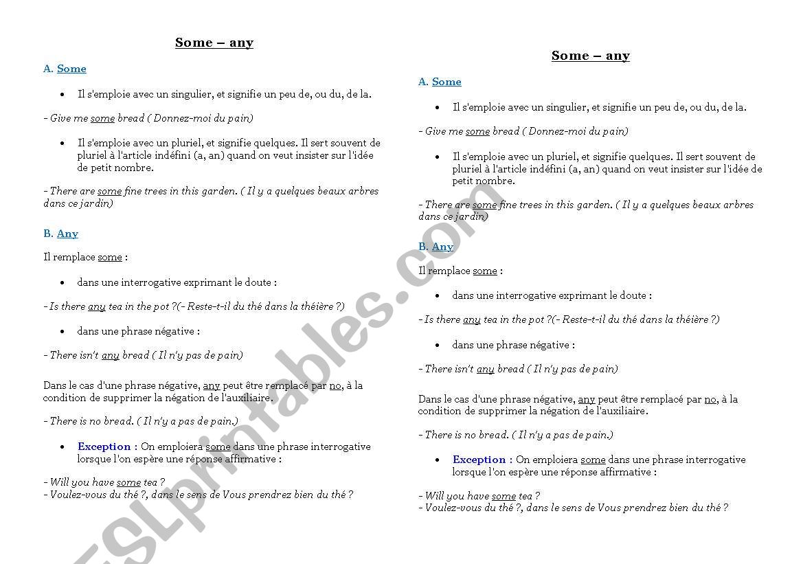 lesson about Some - Any (2 pupils)