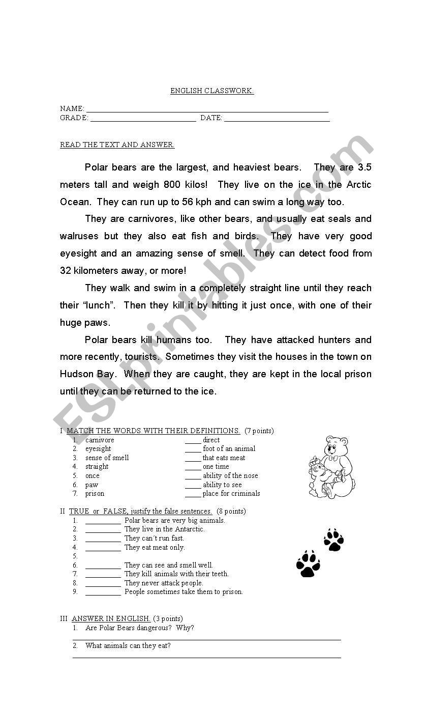 Polar bears worksheet