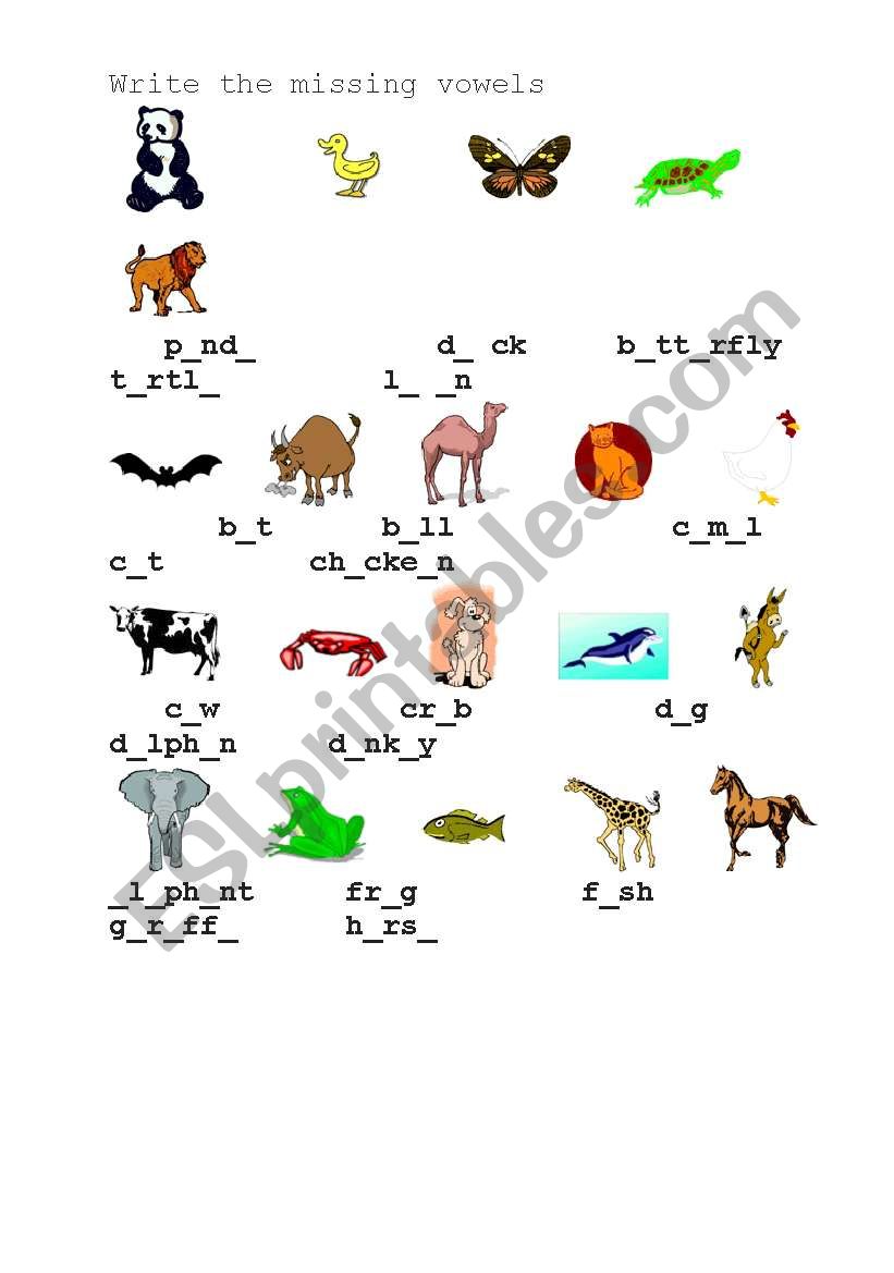 Animals  worksheet