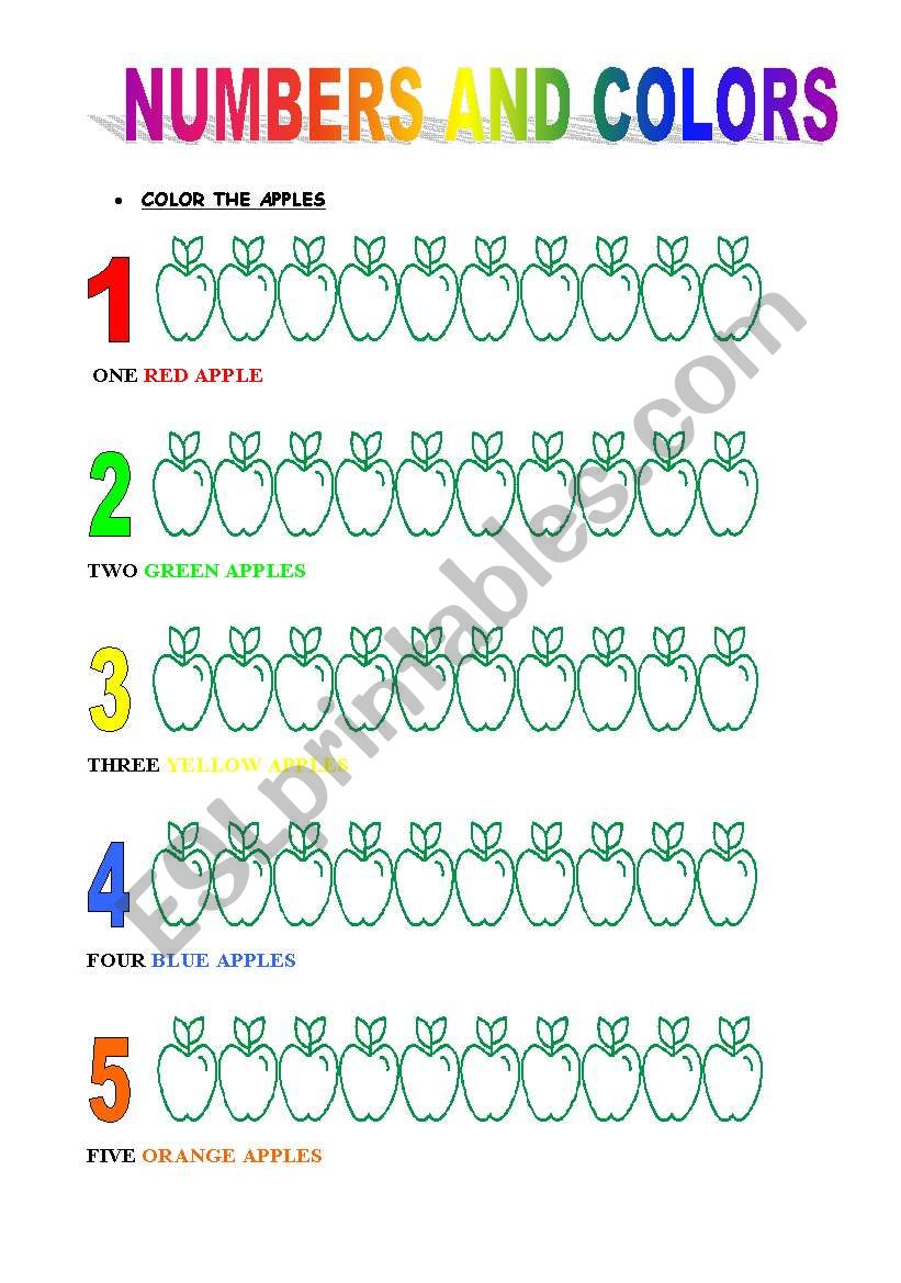 NUMBERS AND COLORS worksheet