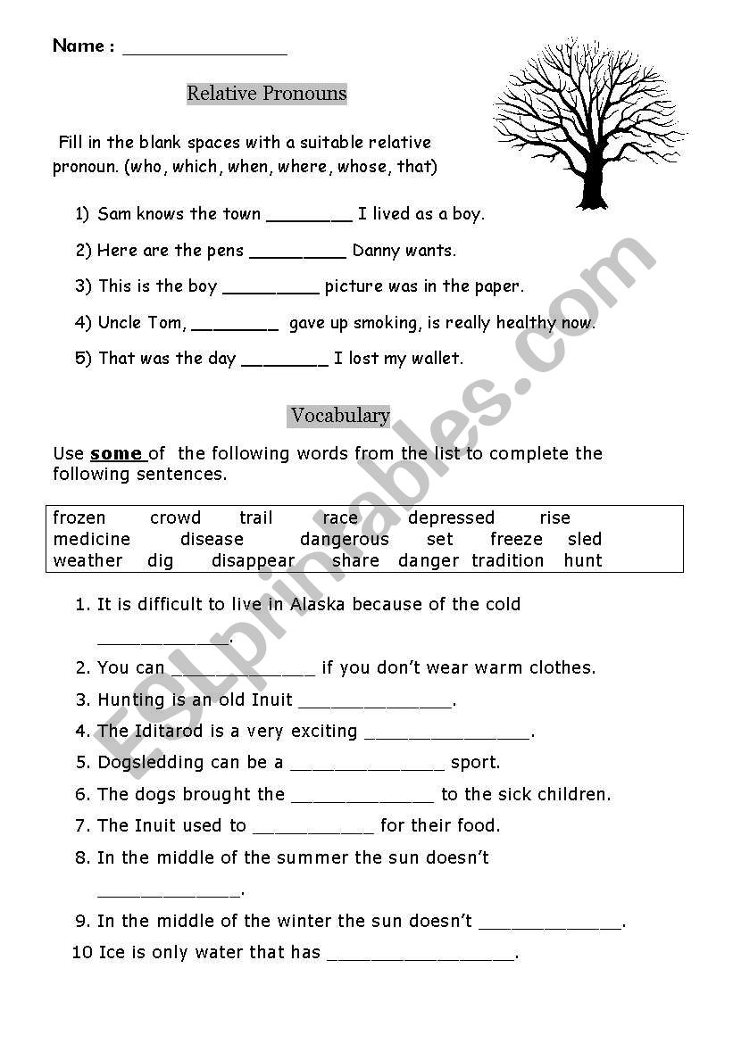 Relative Pronouns plus vocabulary