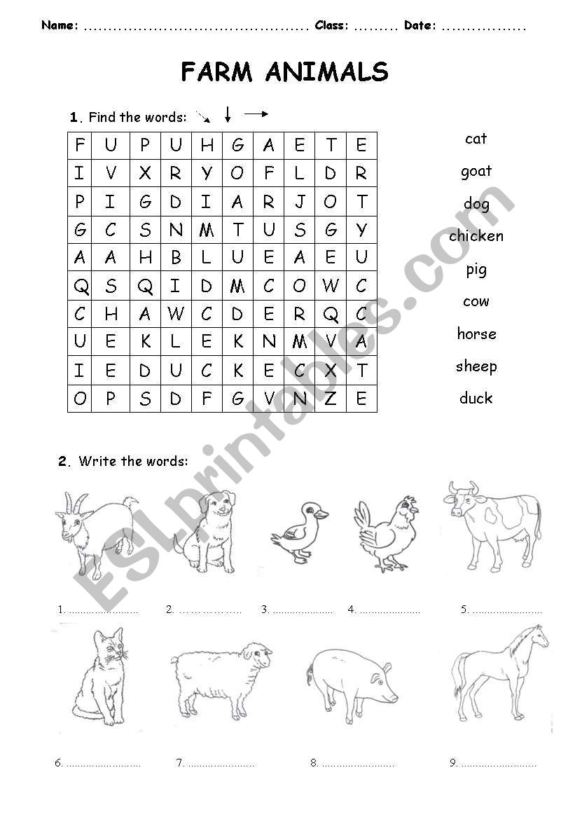 Farm Animals  worksheet