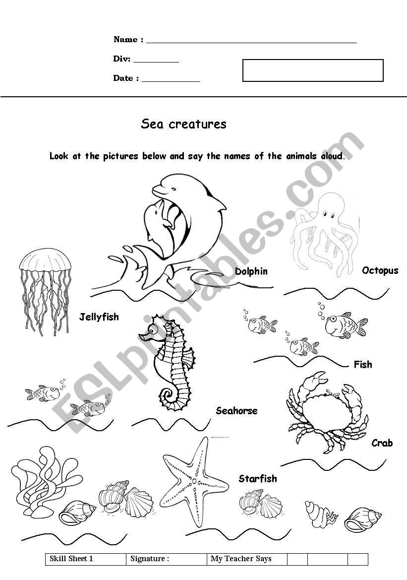 sea creatures for pre schoolers