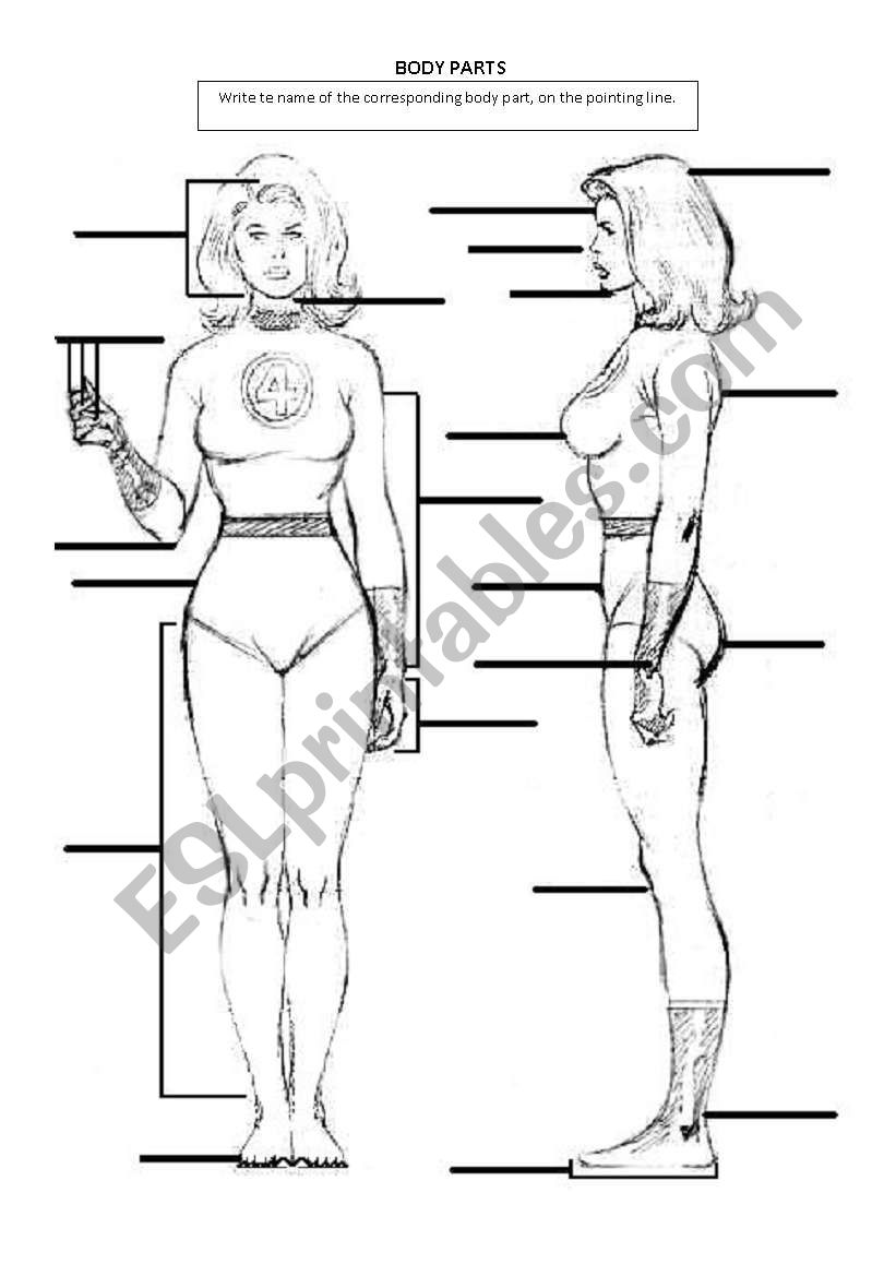 Body parts worksheet
