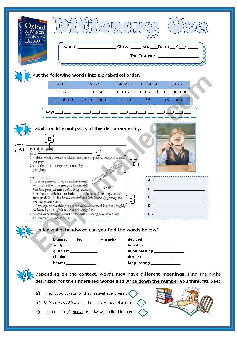 Dictionary Use (Exercises) worksheet