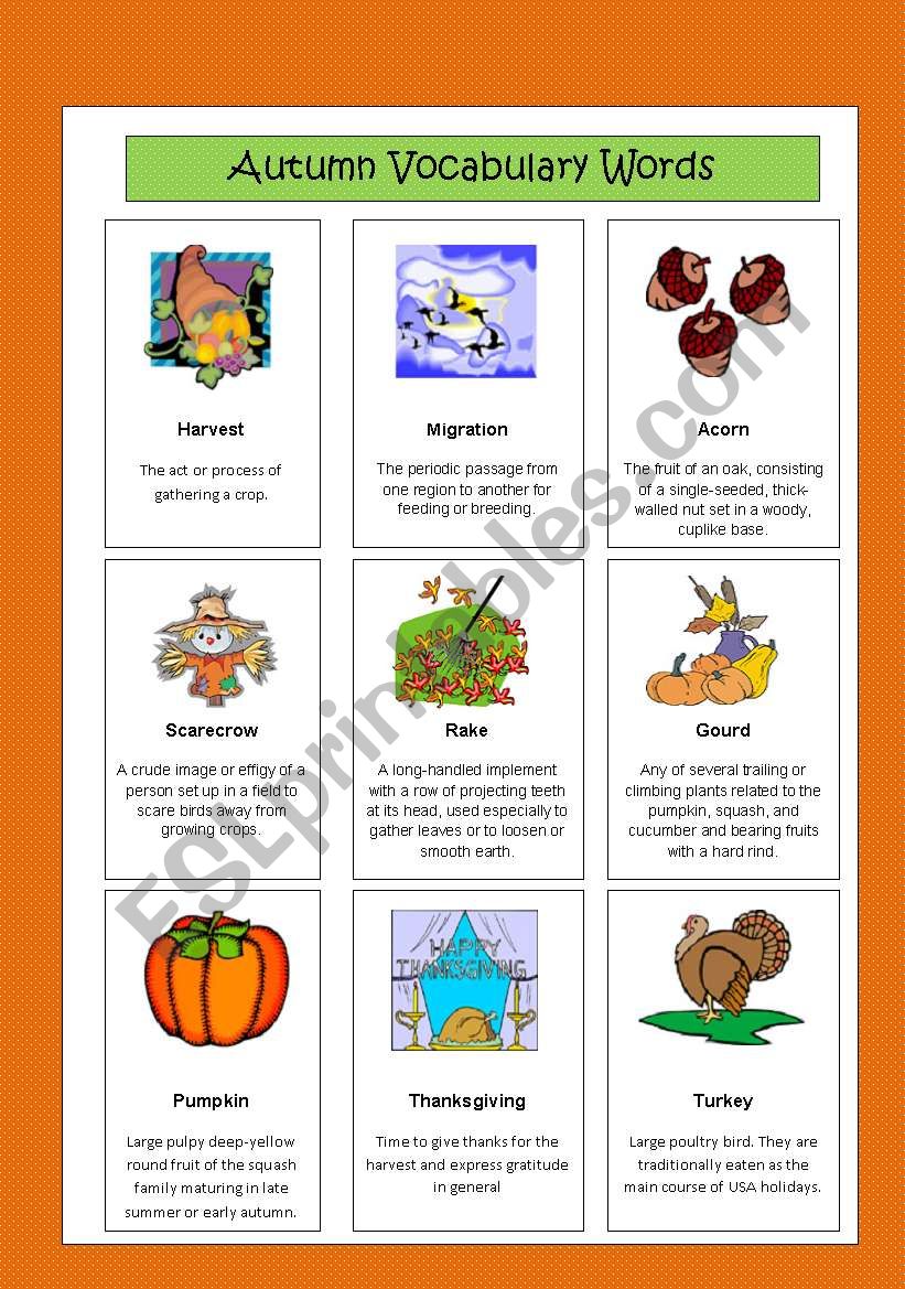 Autum Vocabulary Words worksheet