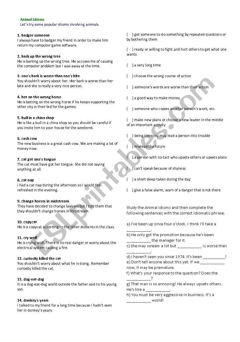 Animal Idioms worksheet