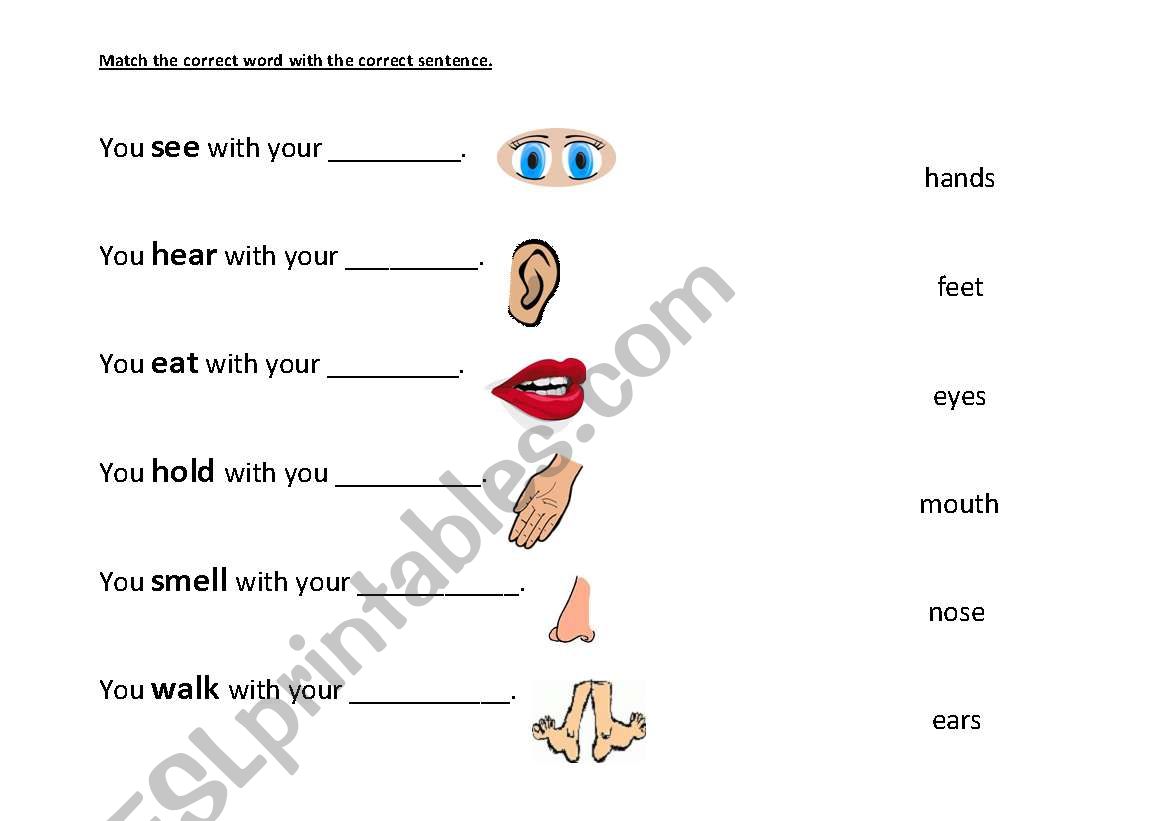 Body Parts worksheet