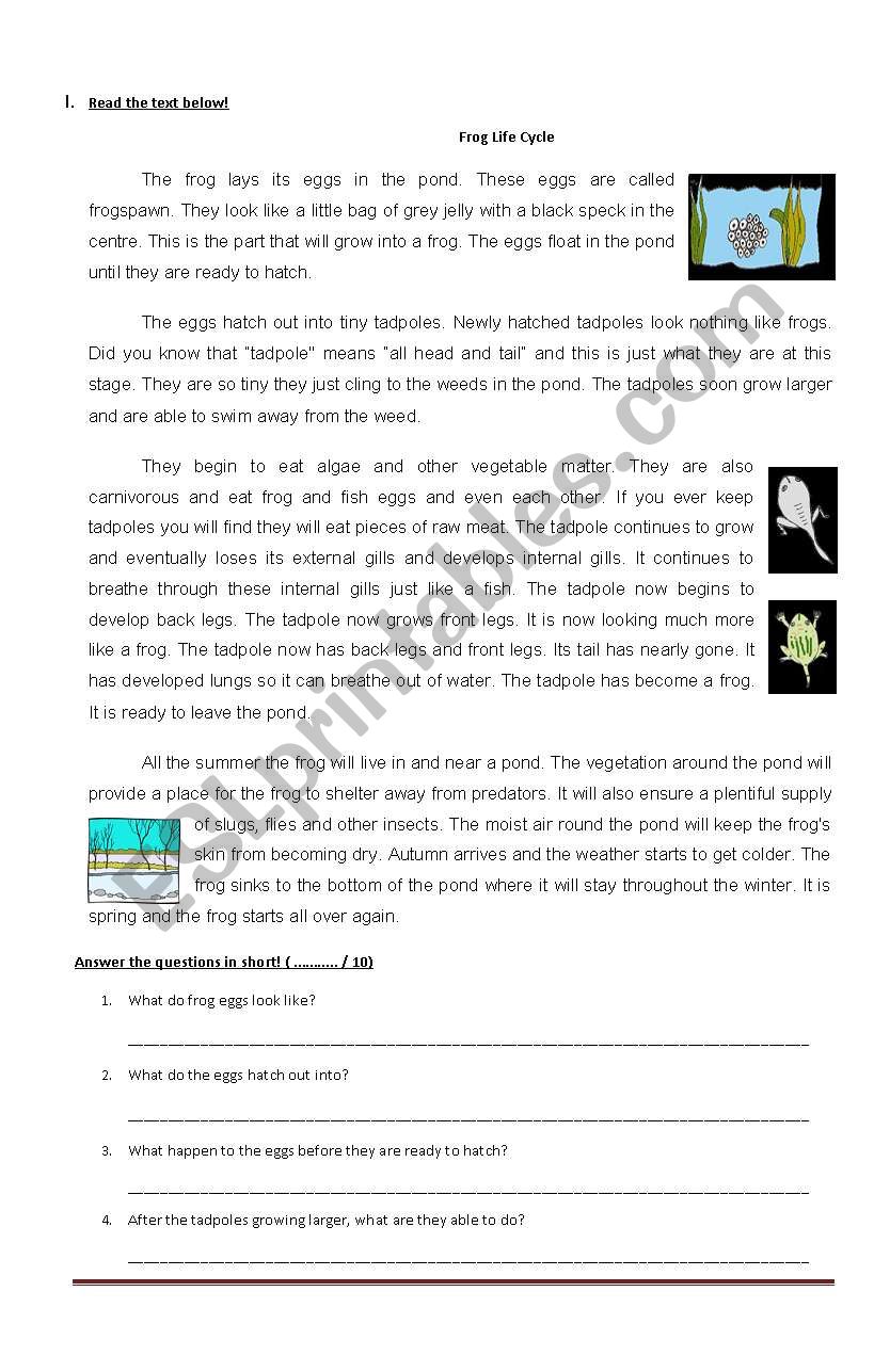 Adverbs worksheet