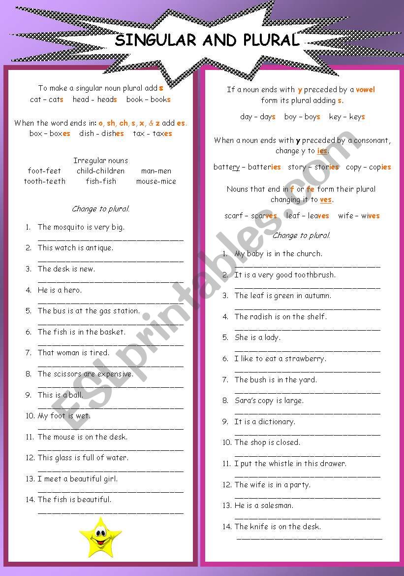 SINGULAR AND PLURAL worksheet