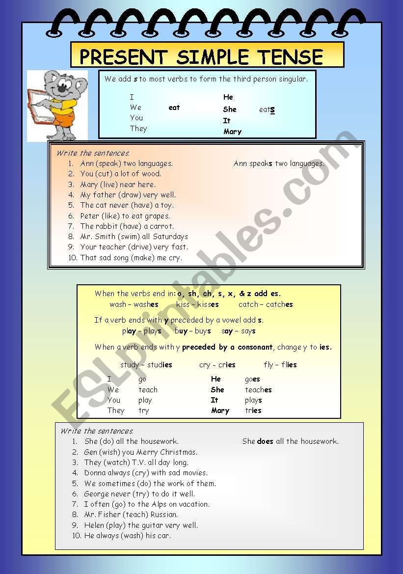 PRESENT SIMPLE TENSE worksheet