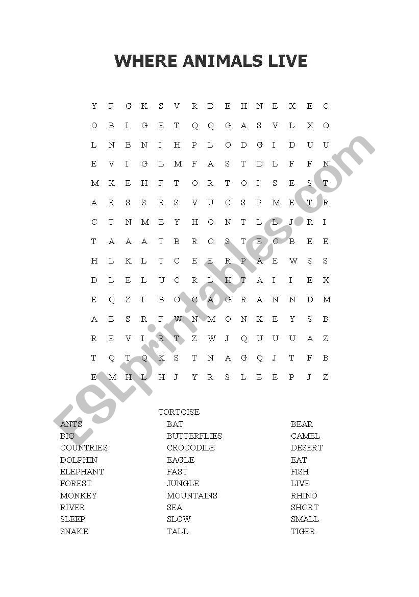 WORDSEARCH worksheet