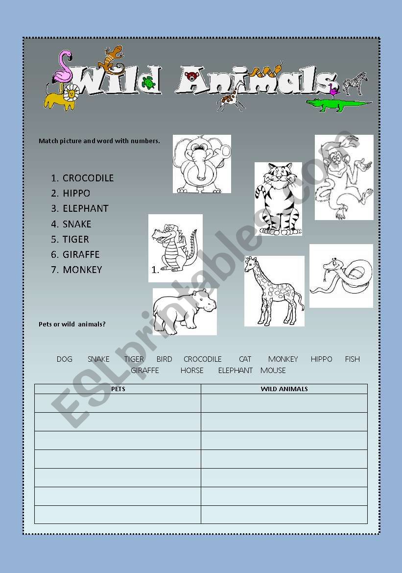 wild animals worksheet