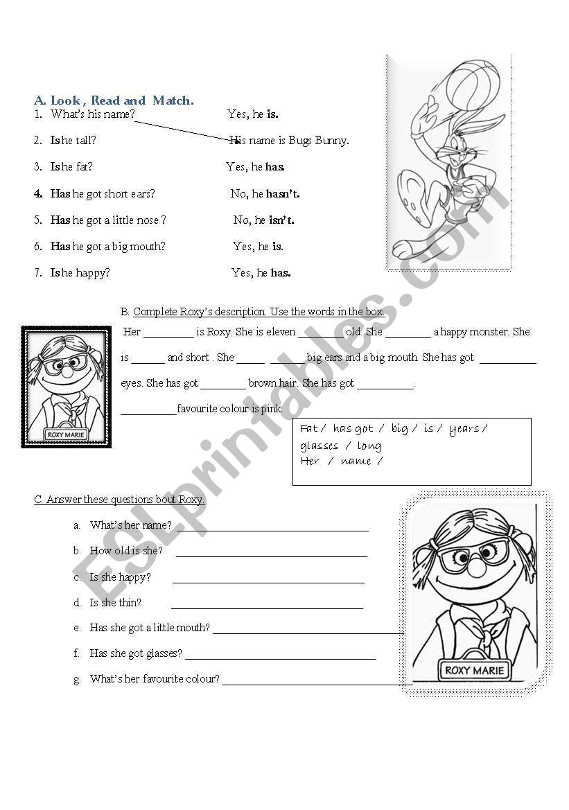 Simple Description Practice worksheet