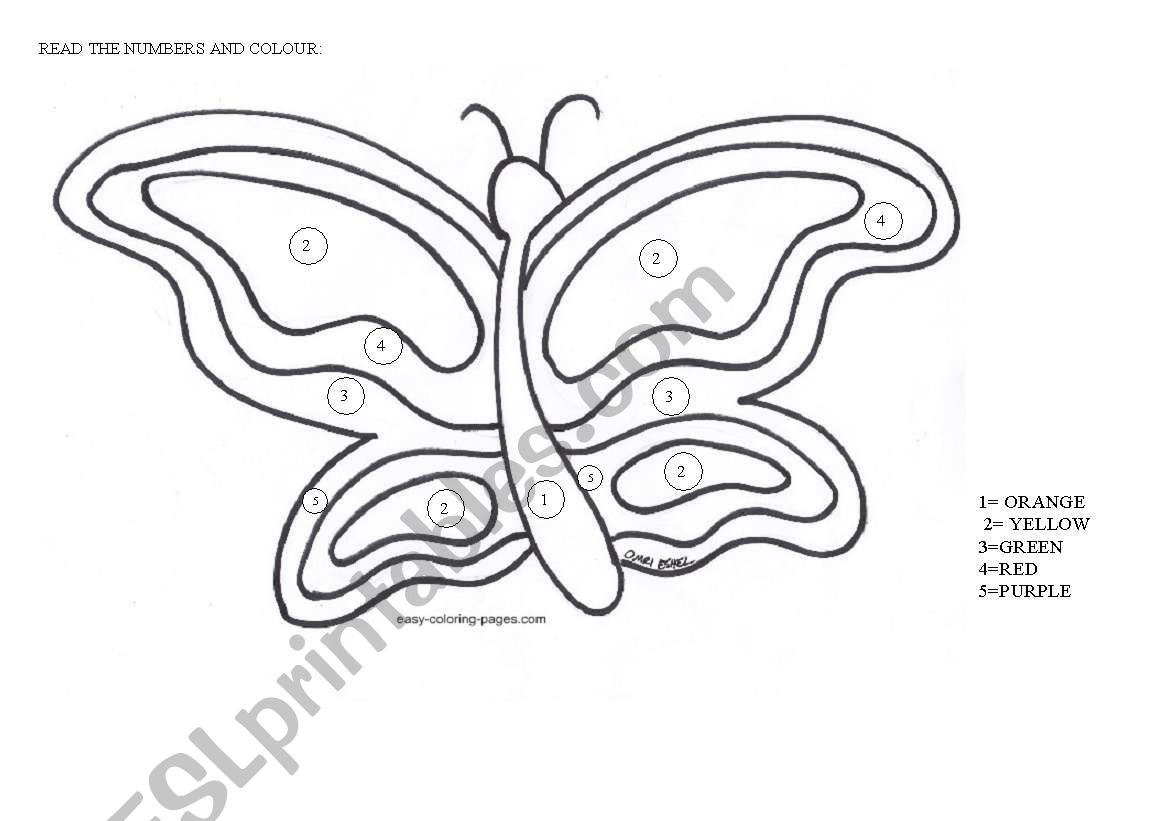 a simple butterfly worksheet