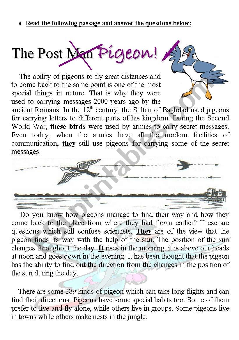 The Post Pigeon worksheet