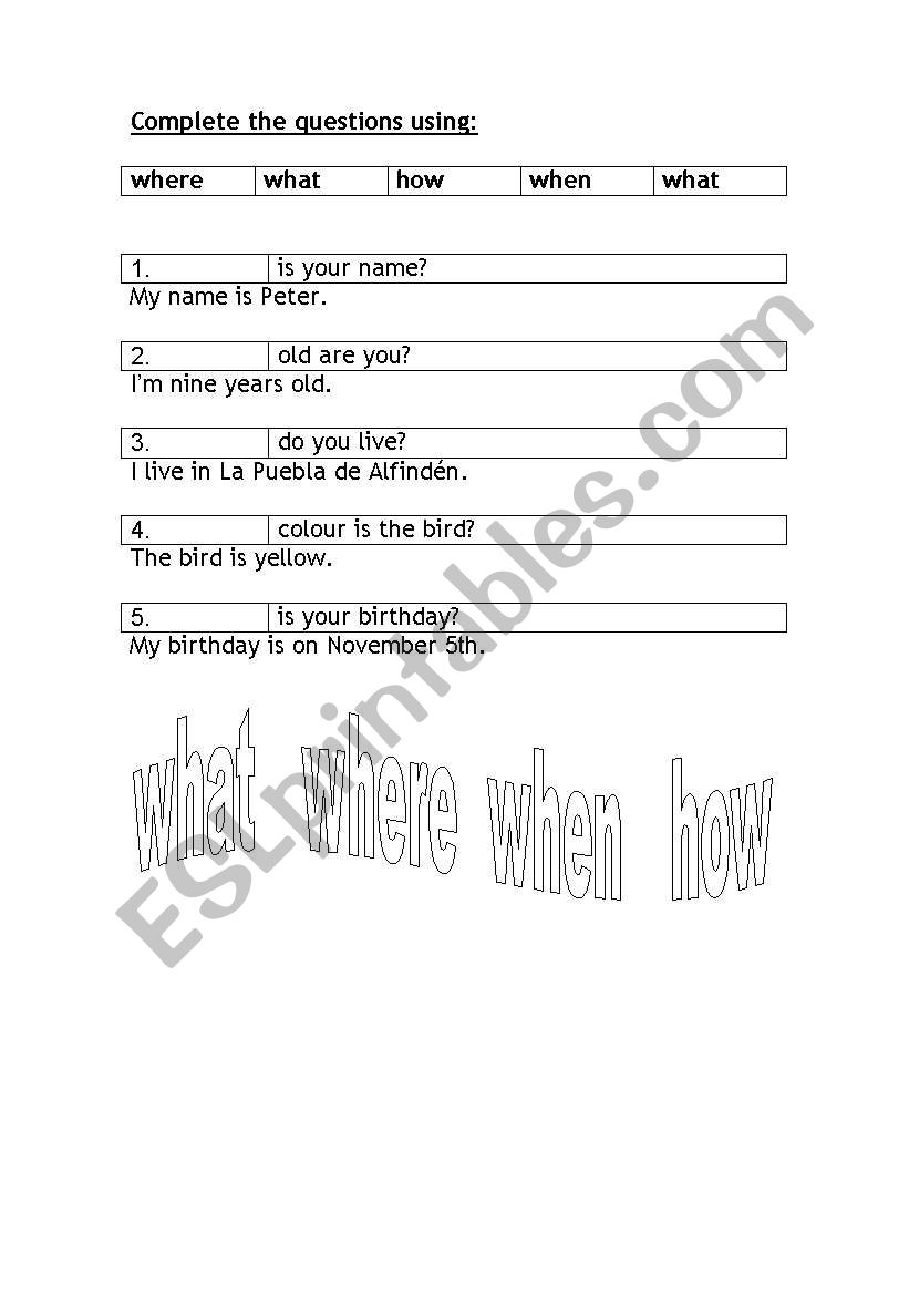 question words worksheet