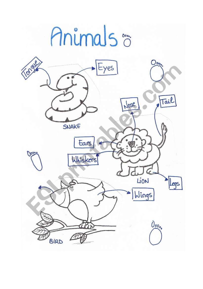 animals (parts of the body) worksheet