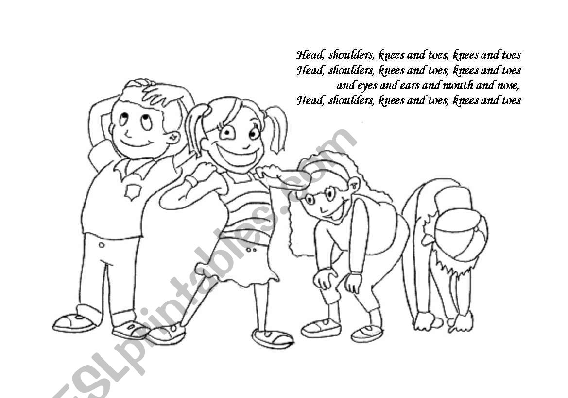 Head shoulders knees and toes worksheet