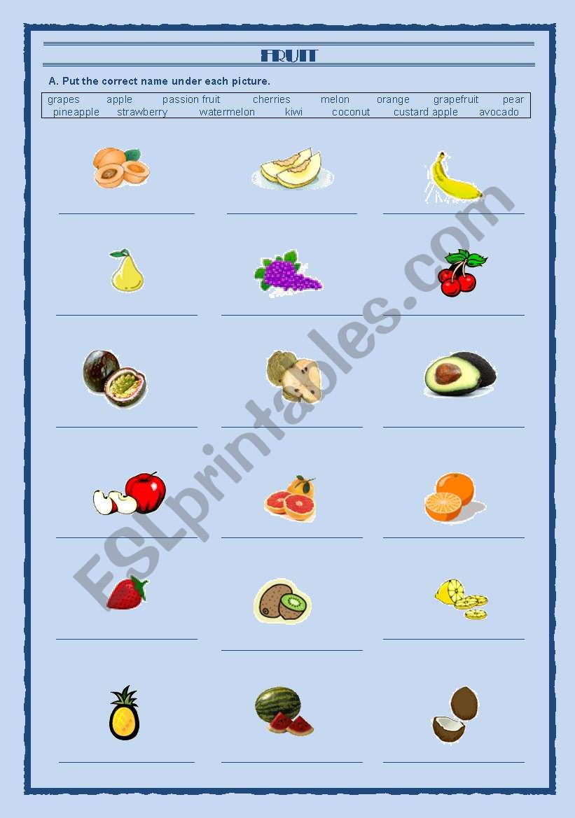 Fruit Vocabulary worksheet