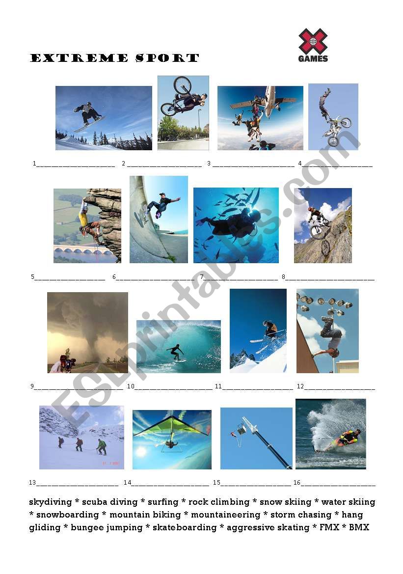 Extreme sports worksheet