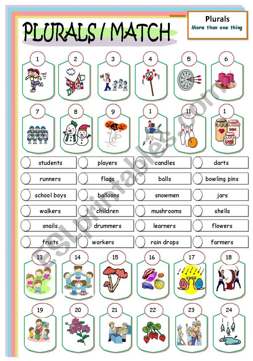 PLURALS  MATCH worksheet