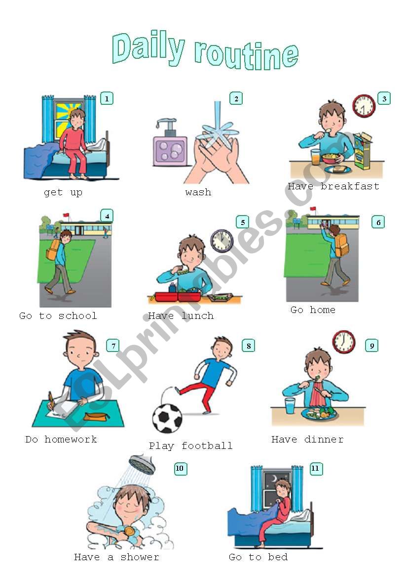 Daily Routine ESL Worksheet By Mony cava