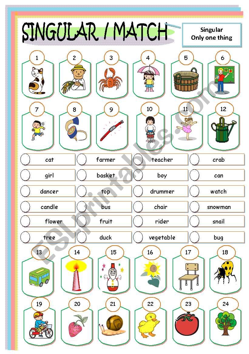  SINGULAR /MATCH worksheet