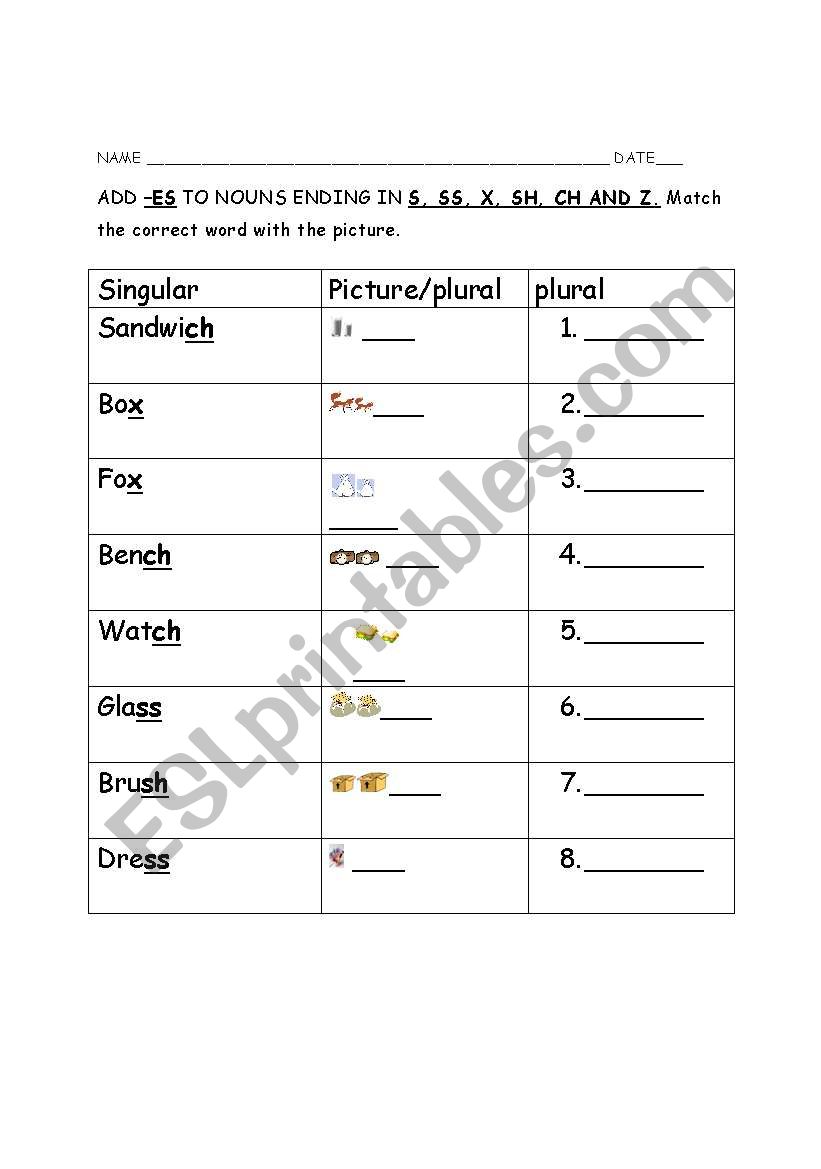 Plural nouns add -es worksheet