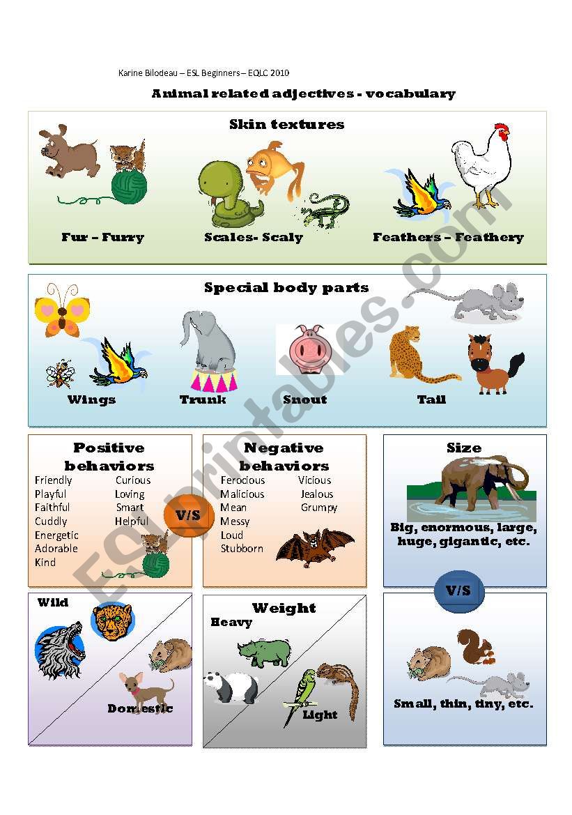 Animal related adjectives worksheet