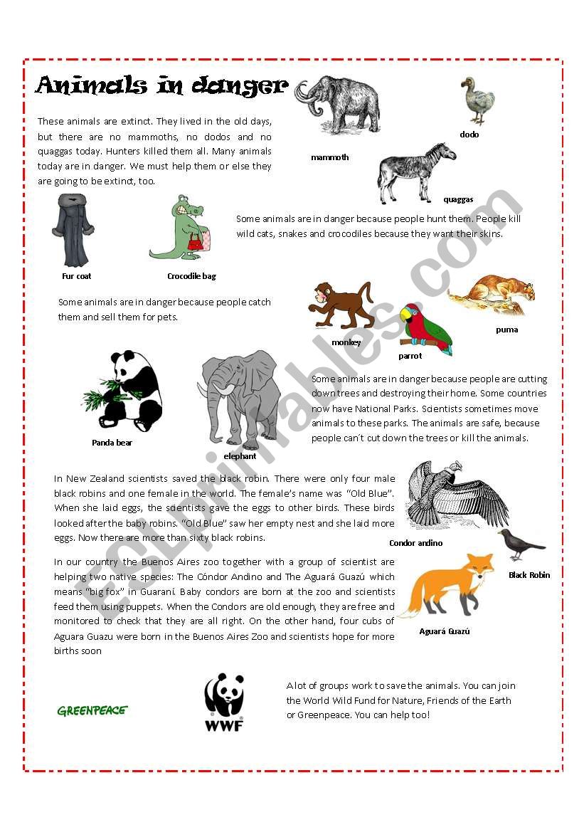 animals in danger worksheet