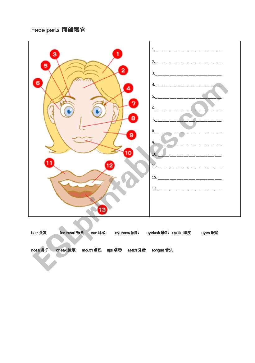 Our Face worksheet