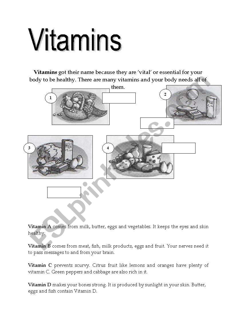 Vitamins worksheet