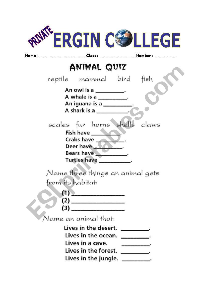 animals worksheet