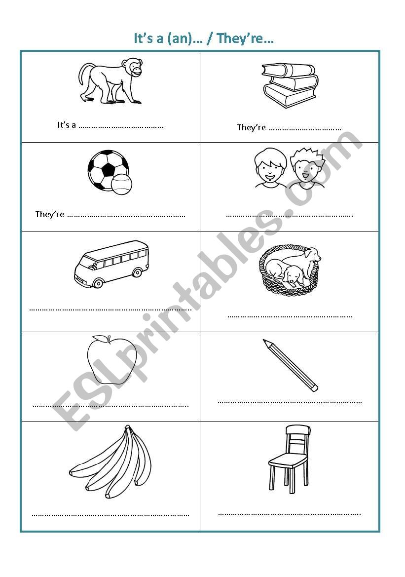 ItÂ´s a... / They are worksheet
