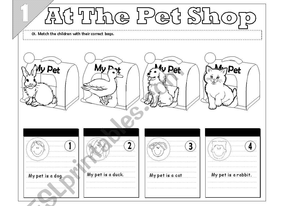 At The Pet Shop worksheet