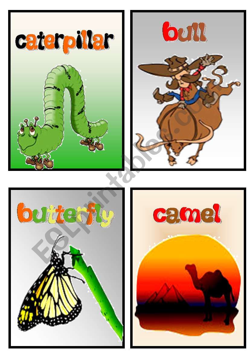 animals worksheet