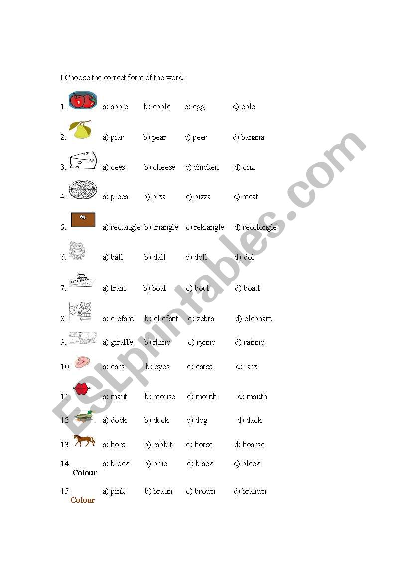 spelling test  worksheet