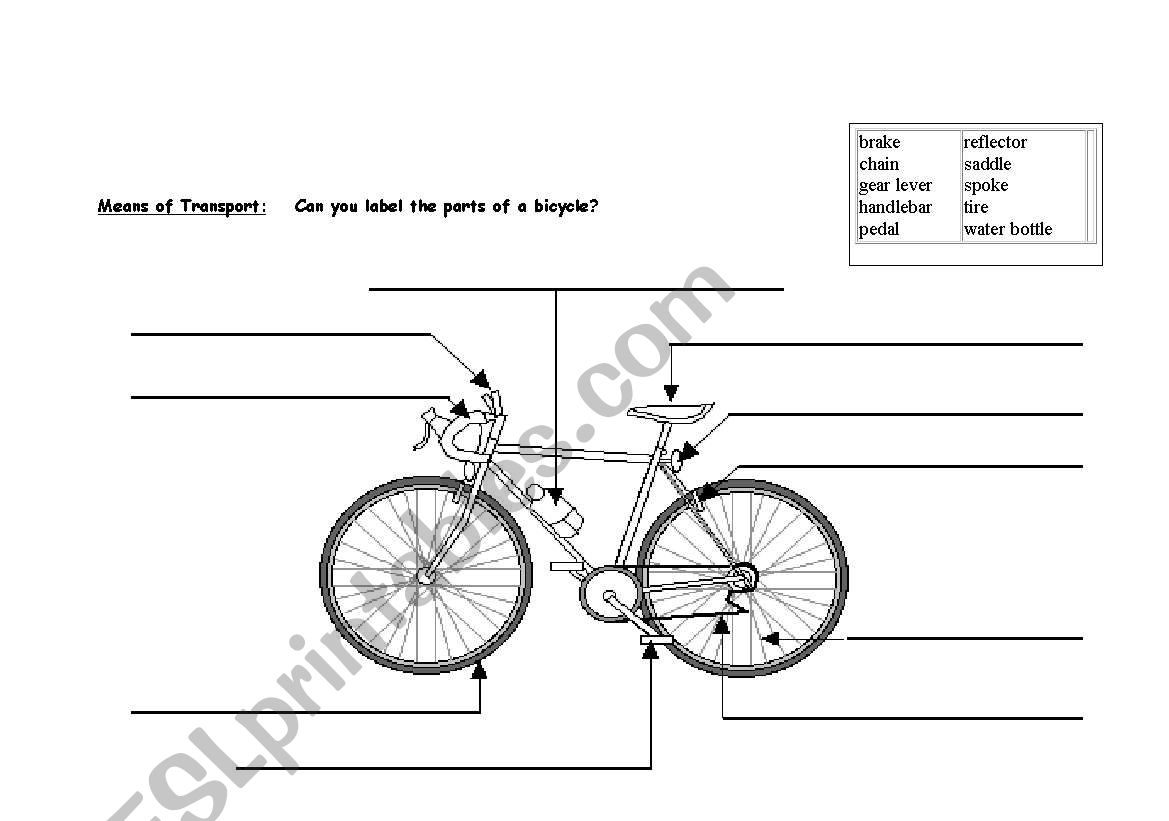 Bike / Means of Transport worksheet