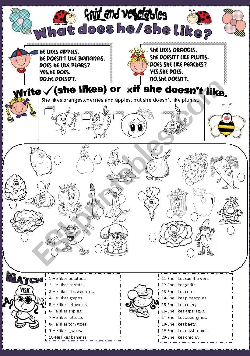 wha does he she like? worksheet