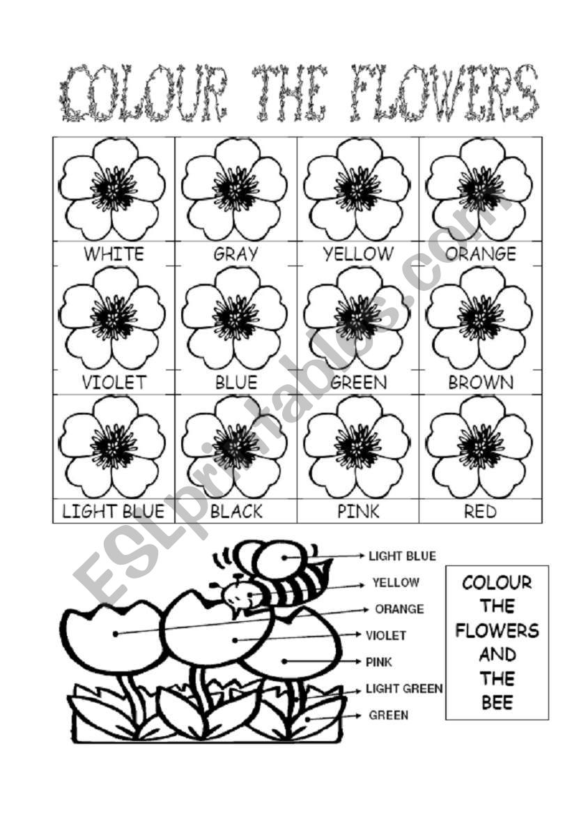 colours and colours... worksheet