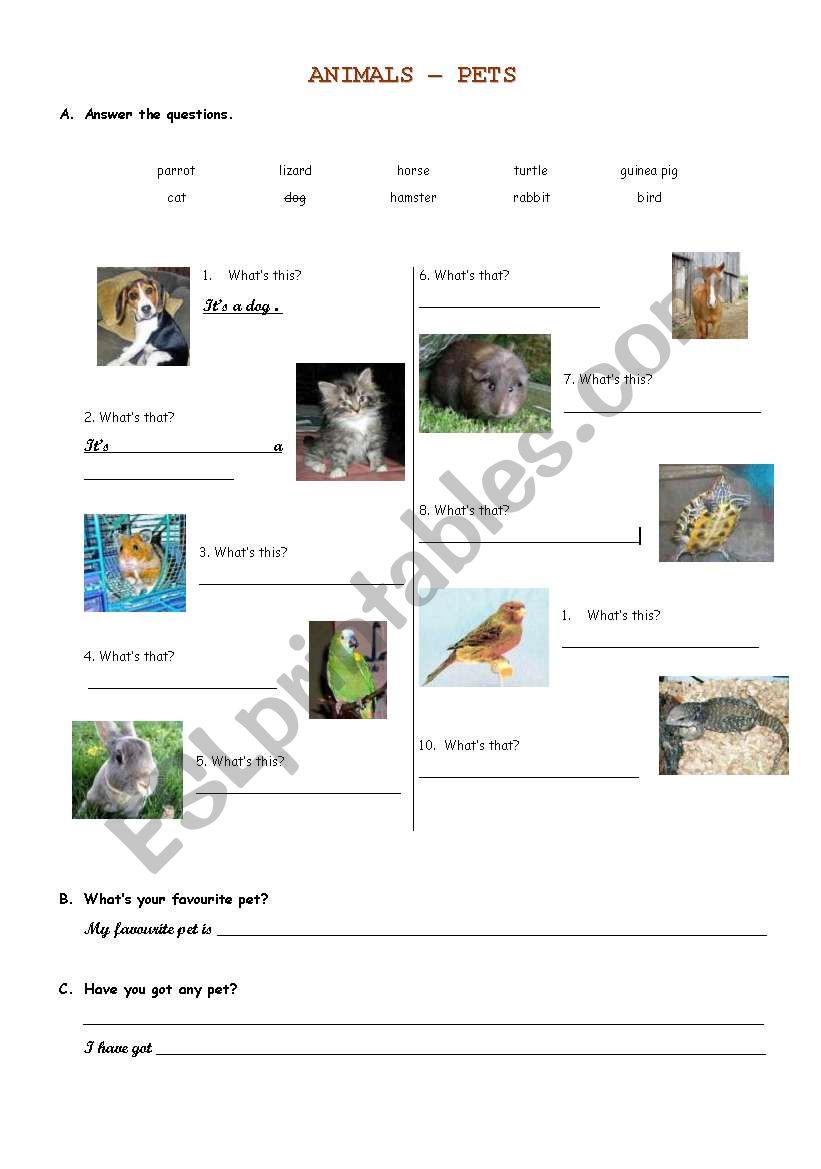 PETS worksheet